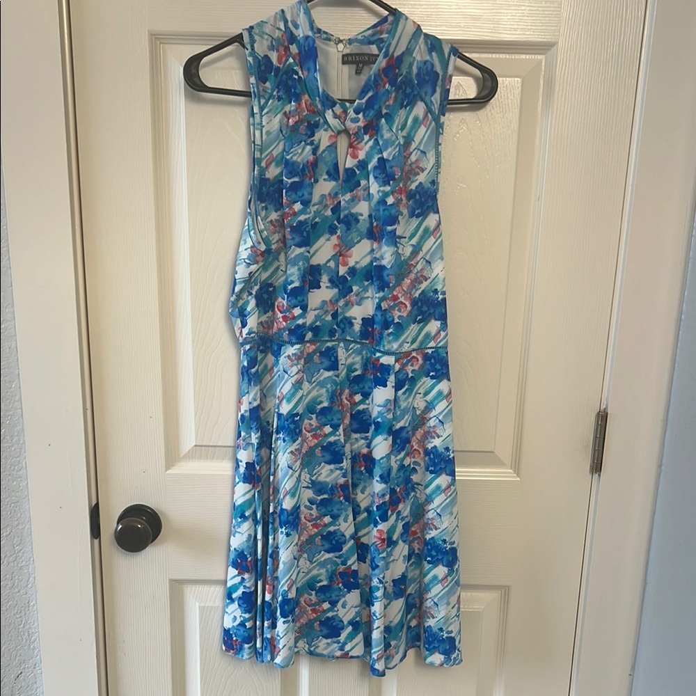 Brixon Ivy Blue and Pink Patterned Dress